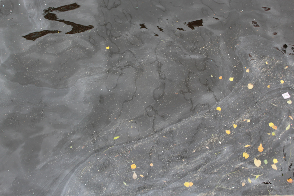 Подростка в Петербурге вытащили из воды у Яхтенного моста после обмана